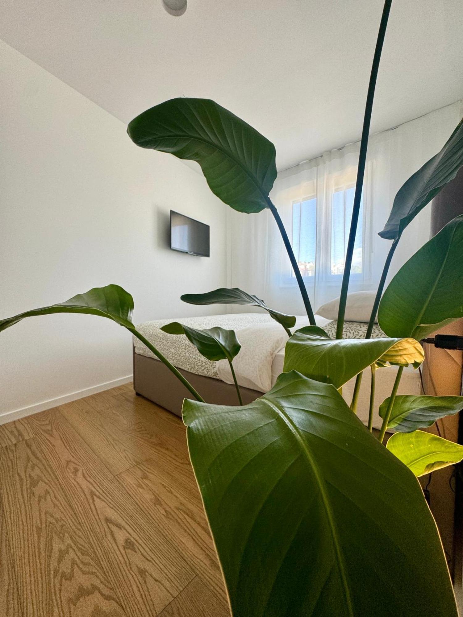 Appartement Abyss New Near The With Private Garage *